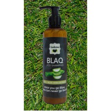 Blaq Shampoo
